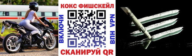 Cocaine Fish Scale  omg ONION  Хабаровск 