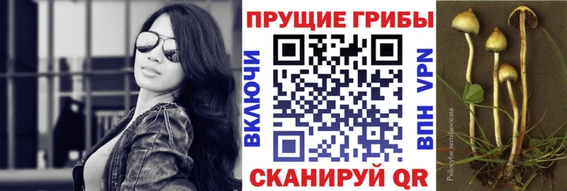 Псилоцибиновые грибы Magic Shrooms  omg ONION  Хабаровск  где купить наркоту 