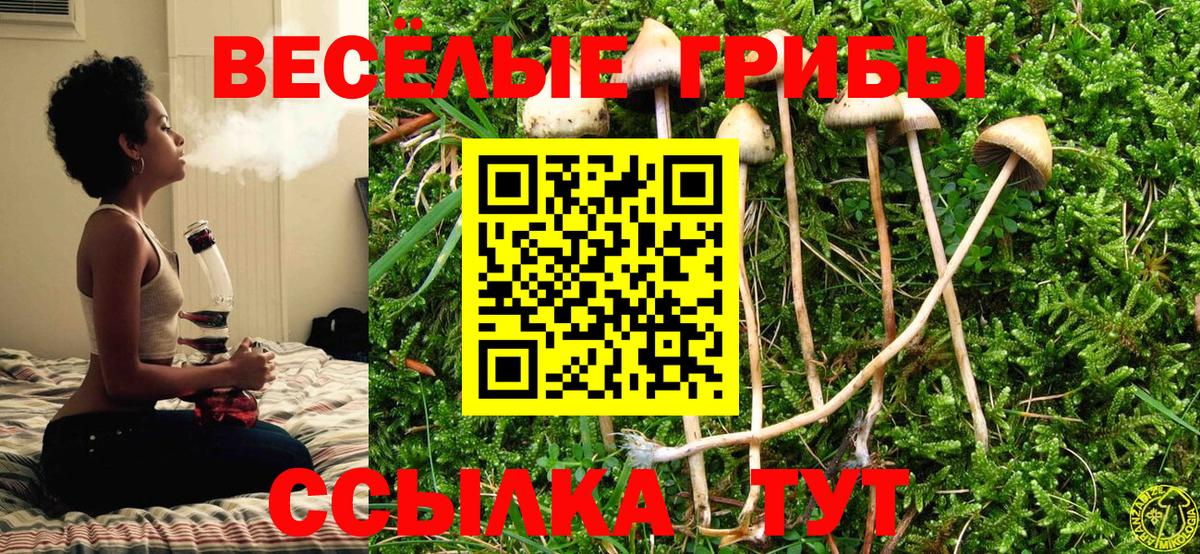 как найти закладки  Псилоцибиновые грибы MAGIC MUSHROOMS  Хабаровск  Псилоцибиновые грибы мухоморы 