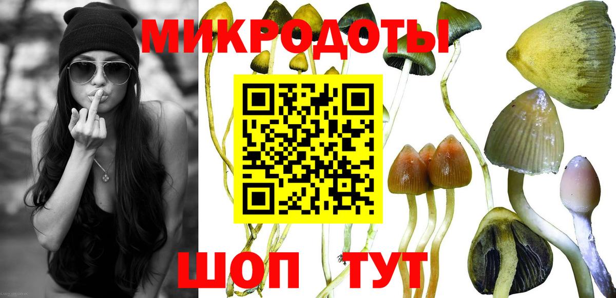 Галлюциногенные грибы GOLDEN TEACHER  Вход с VPN  Хабаровск 