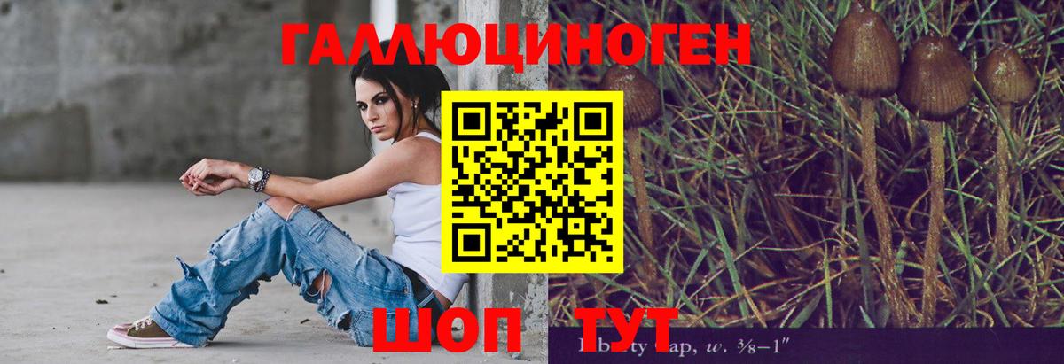 Псилоцибиновые грибы прущие грибы Хабаровск