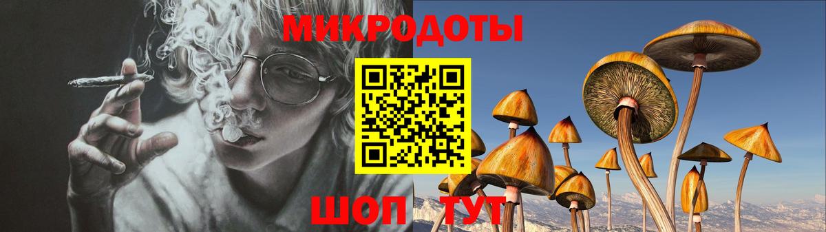 Псилоцибиновые грибы мицелий Хабаровск